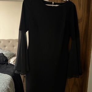 Calvin Klein Ruffle Sleeve Chiffon Sheath dress, size 12